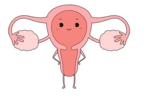 孕囊位置怎么看,通过孕囊大小看男女准确吗